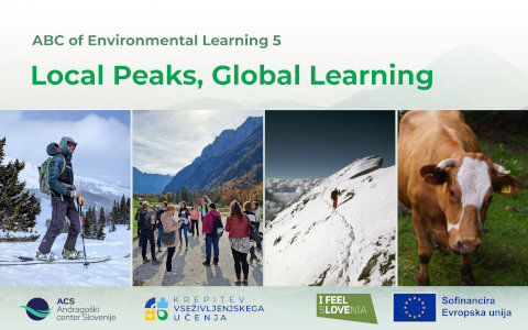 Local Peaks, Global Learning letak